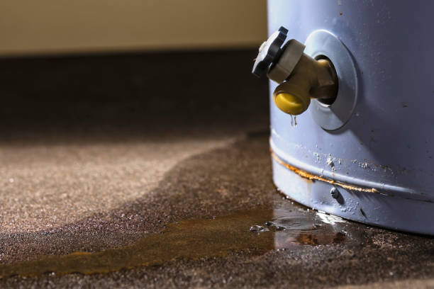 Best Flooded house restoration  in Billings, MT