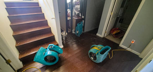 Best Local water damage restoration  in Billings, MT