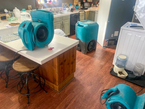 Best Ceiling water damage repair  in Billings, MT