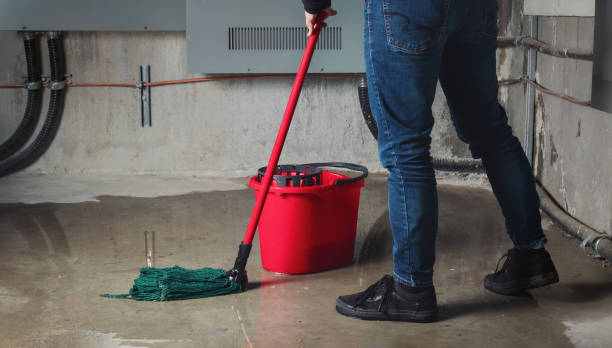 Best Emergency water extraction  in Billings, MT