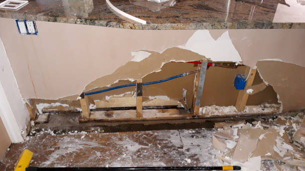 Best Water damage repair service  in Billings, MT