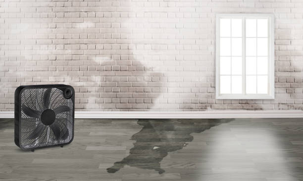 Best Commercial water damage restoration  in Billings, MT