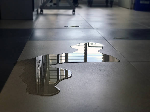 Local water damage restoration in Billings, MT