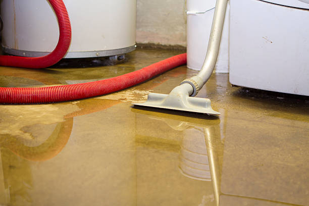 Best Flooded house restoration  in Billings, MT