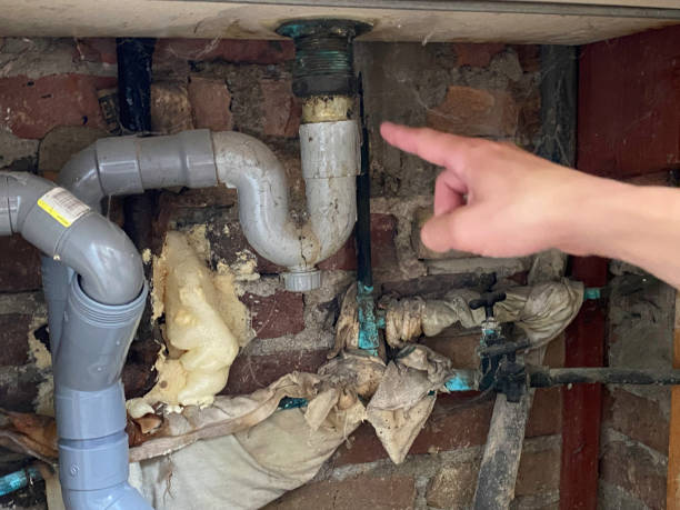 Best Mold removal after water damage  in Billings, MT