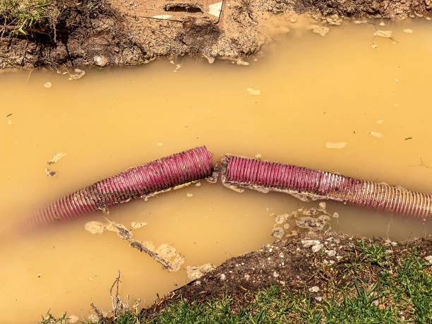 Best Water damage restoration near me  in Billings, MT