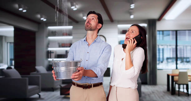 Best 24/7 water damage repair  in Billings, MT