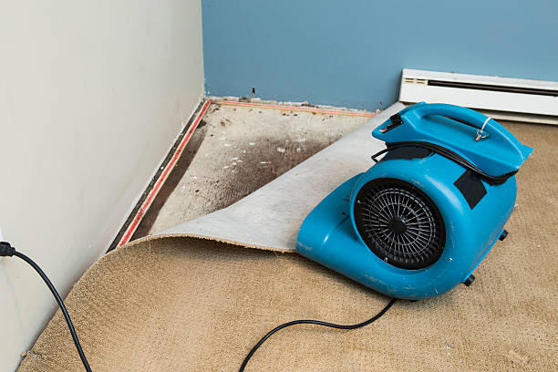 Best Water damage restoration company  in Billings, MT
